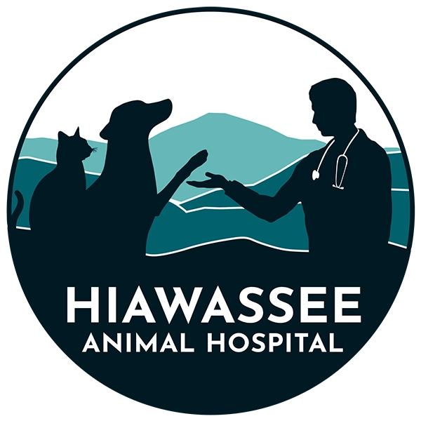 Hiawassee Animal Hospital