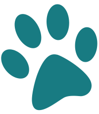 Paw print icon