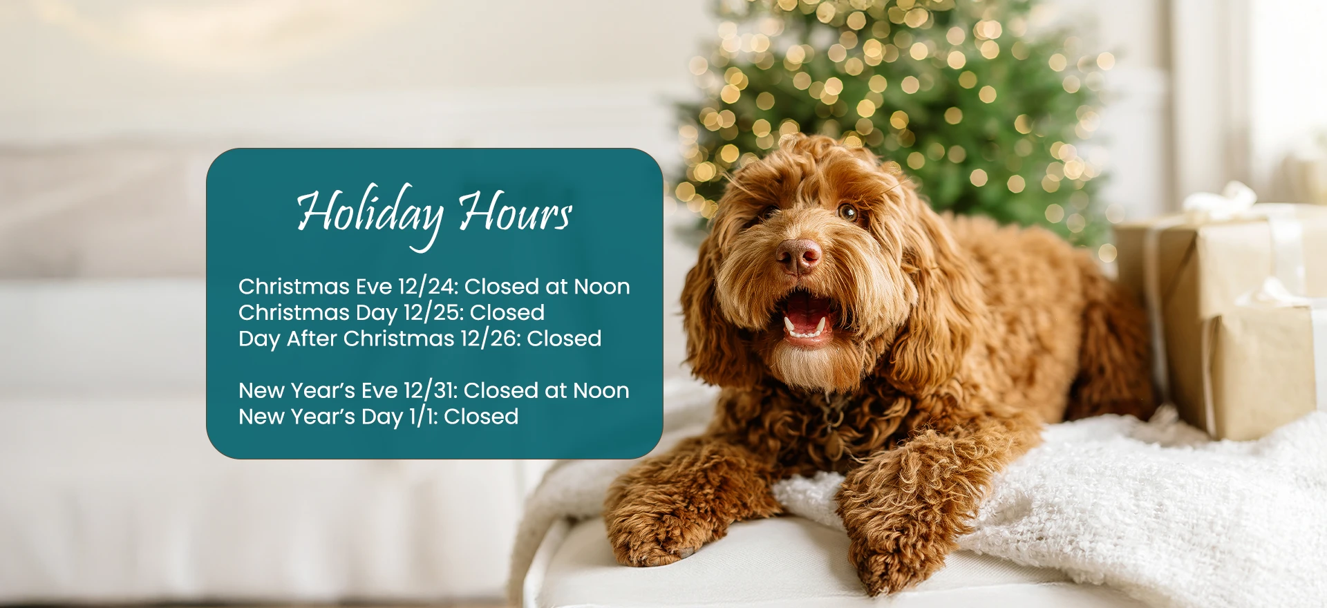 Holiday Hours: Christmas Eve, 12/24, we will close at noon. Christmas Day, 12/25, we will be closed. New Year's Eve, 12/31, we will close at noon. New Year's Day, 1/1, we will be closed.